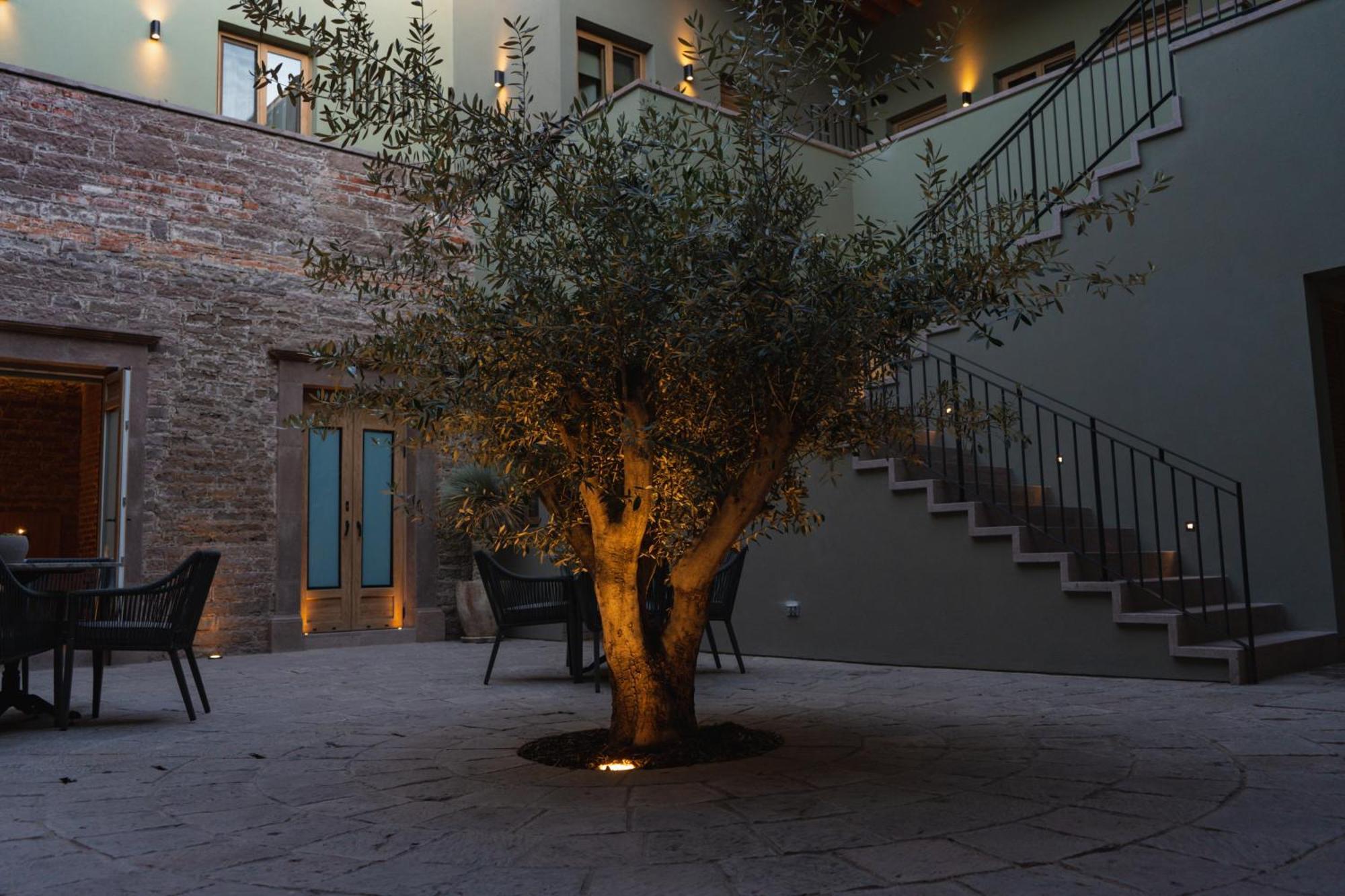 Hotel Casa Aranzazu ซานหลุยส์โปโตซิ ภายนอก รูปภาพ